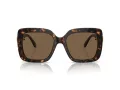 Swarovski Lunettes de Soleil SK 6001 100273