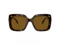 Swarovski Lunettes de Soleil SK 6001 100283