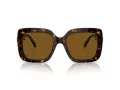 Swarovski Lunettes de Soleil SK 6001 100283