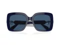 Swarovski Lunettes de Soleil SK 6001 100455