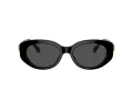 Swarovski Lunettes de Soleil SK 6002 100187