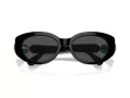 Swarovski Lunettes de Soleil SK 6002 100187