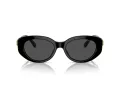 Swarovski Lunettes de Soleil SK 6002 100187