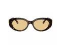 Swarovski Lunettes de Soleil SK 6002 1002/8
