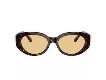 Swarovski Lunettes de Soleil SK 6002 1002/8