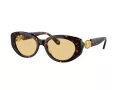 Swarovski Lunettes de Soleil SK 6002 1002/8