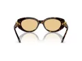 Swarovski Lunettes de Soleil SK 6002 1002/8