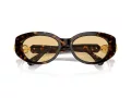 Swarovski Lunettes de Soleil SK 6002 1002/8