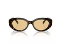 Swarovski Lunettes de Soleil SK 6002 1002/8