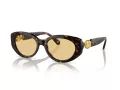Swarovski Lunettes de Soleil SK 6002 1002/8