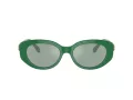 Swarovski Lunettes de Soleil SK 6002 10079C