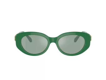 Swarovski Lunettes de Soleil SK 6002 10079C