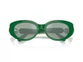 Swarovski Lunettes de Soleil SK 6002 10079C