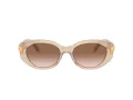 Swarovski Lunettes de Soleil SK 6002 103413