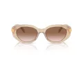 Swarovski Lunettes de Soleil SK 6002 103413