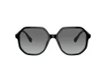 Swarovski Lunettes de Soleil SK 6003 100111