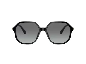 Swarovski Lunettes de Soleil SK 6003 100111