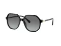 Swarovski Lunettes de Soleil SK 6003 100111