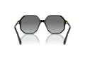 Swarovski Lunettes de Soleil SK 6003 100111