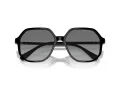 Swarovski Lunettes de Soleil SK 6003 100111