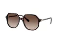 Swarovski Lunettes de Soleil SK 6003 100213