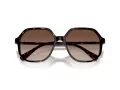 Swarovski Lunettes de Soleil SK 6003 100213