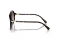 Swarovski Lunettes de Soleil SK 6003 100213