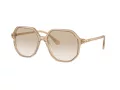 Swarovski Lunettes de Soleil SK 6003 103411