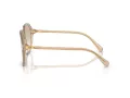 Swarovski Lunettes de Soleil SK 6003 103411