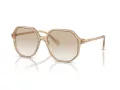 Swarovski Lunettes de Soleil SK 6003 103411