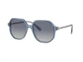 Swarovski Lunettes de Soleil SK 6003 10354L