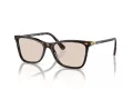 Swarovski Lunettes de Soleil SK 6004 1002M4