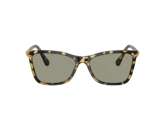 Swarovski Lunettes de Soleil SK 6004 1009/2