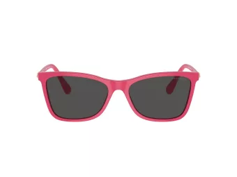 Swarovski Lunettes de Soleil SK 6004 103687