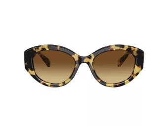 Swarovski Lunettes de Soleil SK 6005 100913