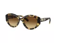 Swarovski Lunettes de Soleil SK 6005 100913