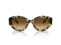 Swarovski Lunettes de Soleil SK 6005 100913