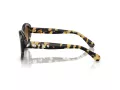 Swarovski Lunettes de Soleil SK 6005 100913