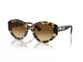 Swarovski Lunettes de Soleil SK 6005 100913