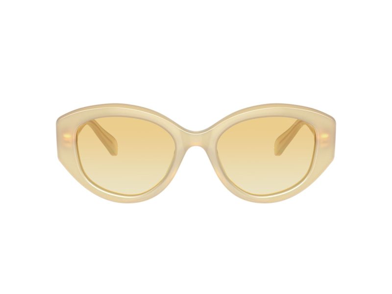 Swarovski Lunettes de Soleil SK 6005 10232Q