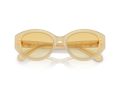 Swarovski Lunettes de Soleil SK 6005 10232Q