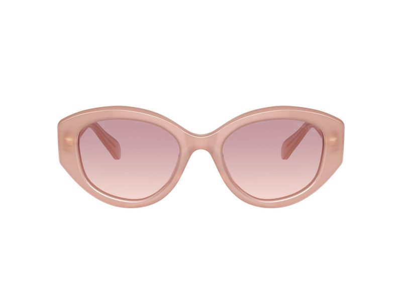 Swarovski Lunettes de Soleil SK 6005 102568