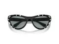 Swarovski Lunettes de Soleil SK 6007 1020/1