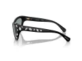 Swarovski Lunettes de Soleil SK 6007 1020/1