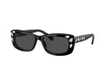 Swarovski Lunettes de Soleil SK 6008 100187