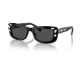 Swarovski Lunettes de Soleil SK 6008 100187