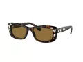 Swarovski Lunettes de Soleil SK 6008 100273