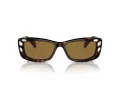 Swarovski Lunettes de Soleil SK 6008 100273