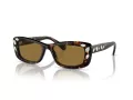 Swarovski Lunettes de Soleil SK 6008 100273