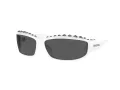 Swarovski Lunettes de Soleil SK 6009 102987